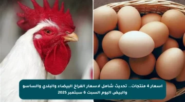 أسعار 4 منتجات.. تحديث شامل لأسعار الفراخ البيضاء والبلدي والساسو والبيض اليوم السبت 6 سبتمبر 2025